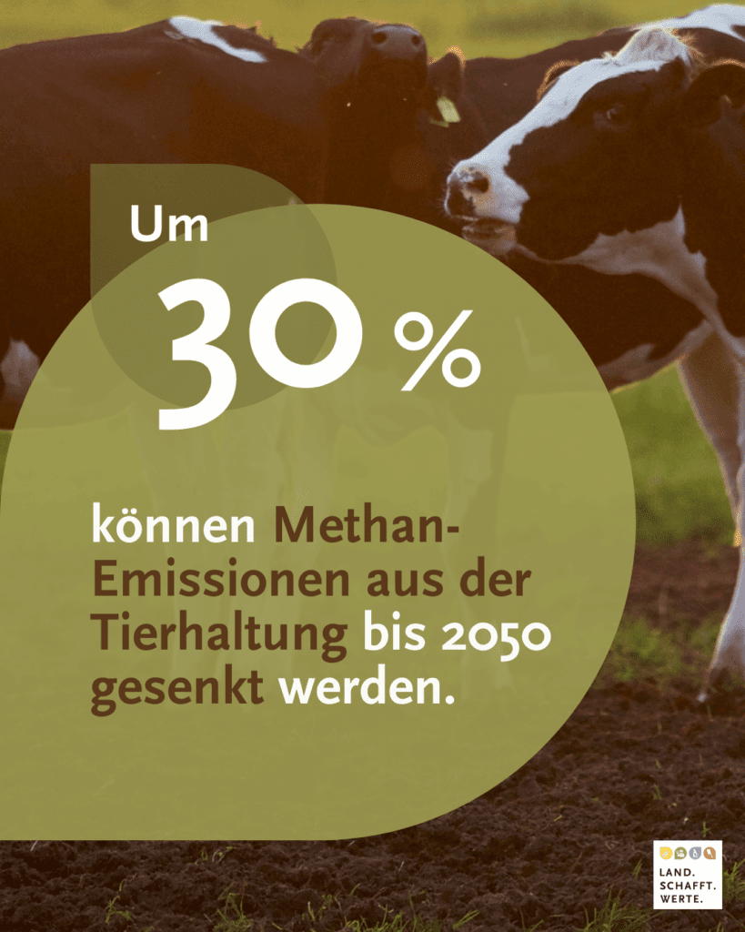 Methan-Emission aus der Tierhaltung