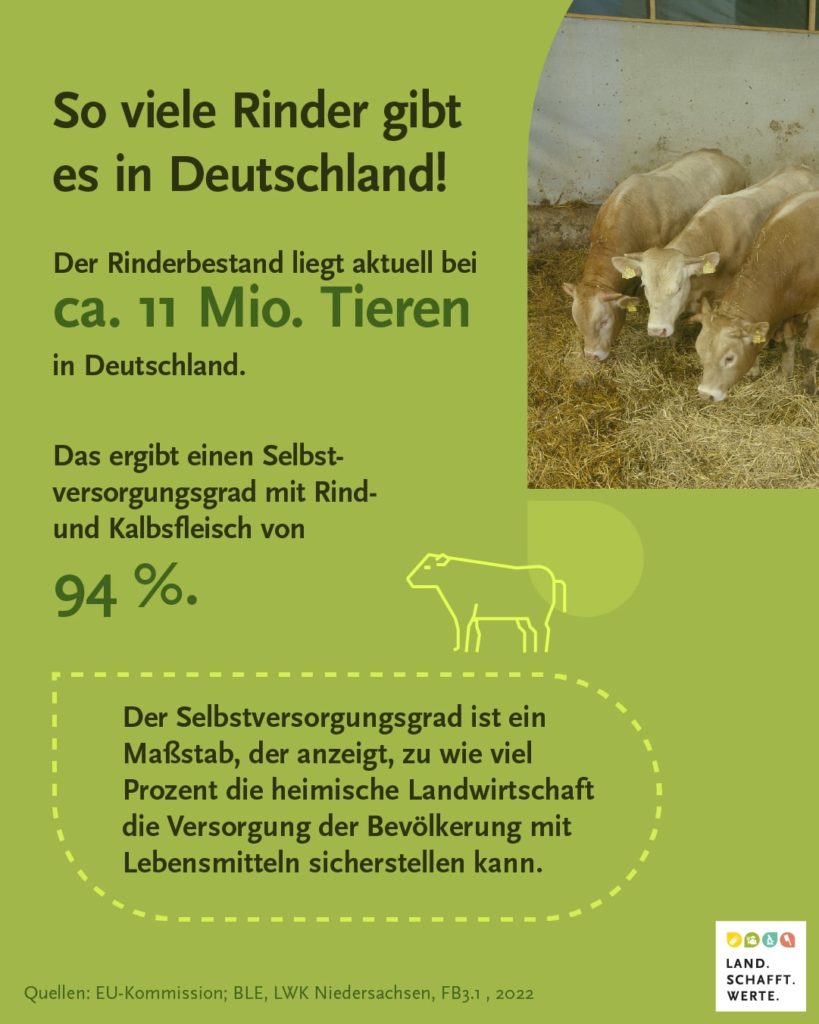 Rinder in Deutschland