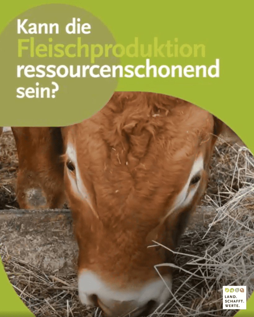 Fleischproduktion Ressourcen