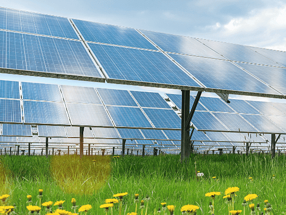 Agri-Photovoltaik - Erneuerbare Energien