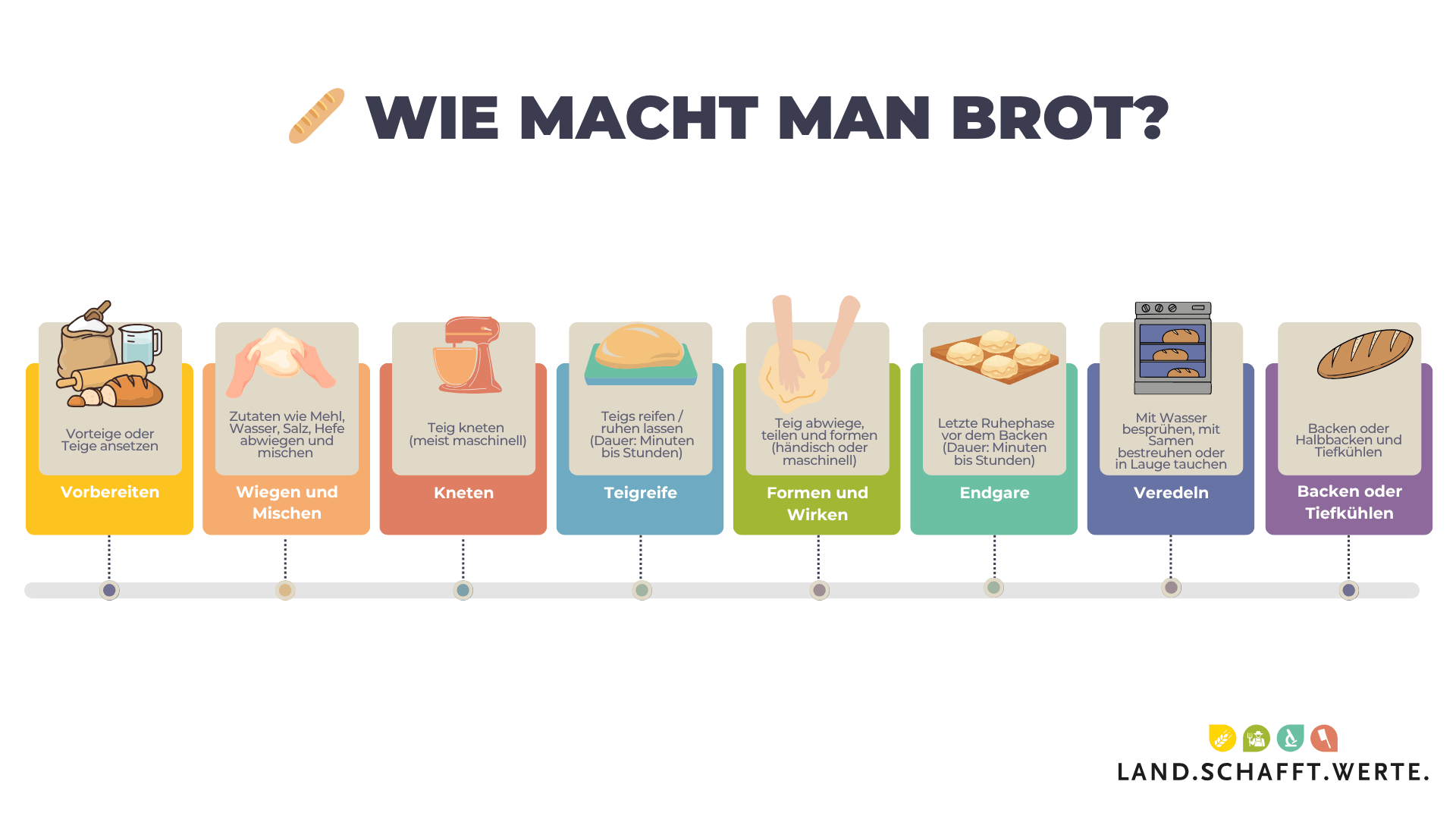 Wie macht man Brot? (Quelle: Land schafft Leben: Brot und Gebäck Herstellung)