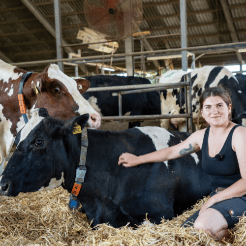 dreharbeiten-kampagne-tiergesundheit-landschafftwerte dreharbeiten-kampagne-tiergesundheit-landschafftwerte
