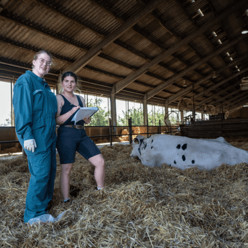 dreharbeiten-kampagne-tiergesundheit-landschafftwerte3 dreharbeiten-kampagne-tiergesundheit-landschafftwerte