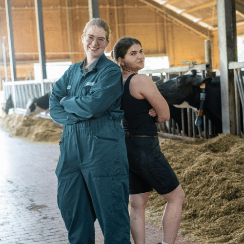 dreharbeiten-kampagne-tiergesundheit-landschafftwerte4 dreharbeiten-kampagne-tiergesundheit-landschafftwerte