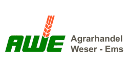 Logo AWE (Canva) 2-min